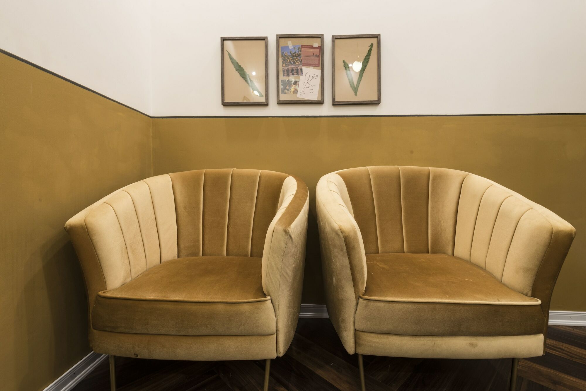 Chloe & Leo Boutique Homestay Hanoi Exteriör bild